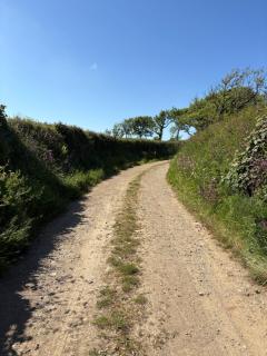 West Lodge - Haverfordwest - 7