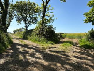 West Lodge - Haverfordwest - 8