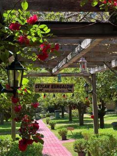 Ceylan Bungalow - 9