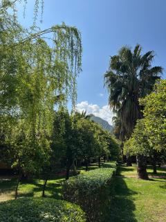 Ceylan Bungalow - Cıralı - 8