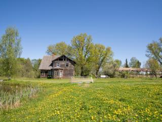 Tiny house at countryside - - 4