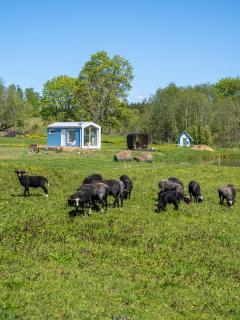Tiny house at countryside - - 1