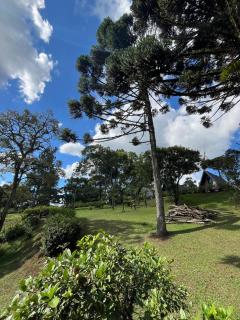 Green villa Chalé com Banheira Pet friendly #05 - São Bento do Sul - 4