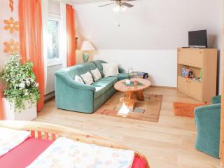 Cheerful apartment near city centre of Haslach - Haslach im Kinzigtal - 9