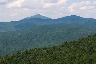 South Village #8 - 7