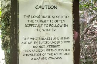 South Village #8 - 6