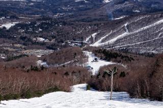 South Village #8 - 3