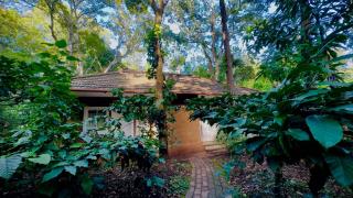 Thennal Junglecamp - Wayanad - 0