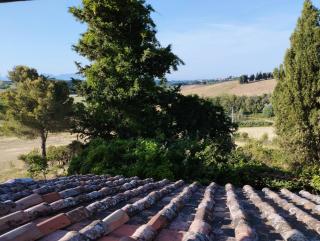 Villa Maiano Fauglia - Torretta - 3