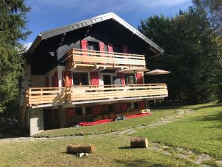 Rare, charmant T3 de 63m2, calme dans une maison, place de parking comprise - Chamonix - 7