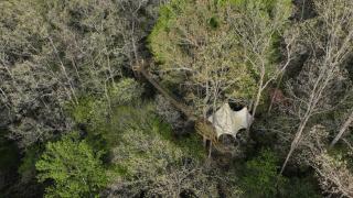 Treetop Transcendenceyour Secret Forest Sanctuary - Dahlonega - 1