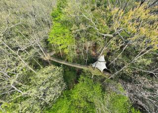 Treetop Transcendenceyour Secret Forest Sanctuary - Dahlonega - 2