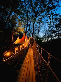 Treetop Transcendenceyour Secret Forest Sanctuary - Dahlonega - 8