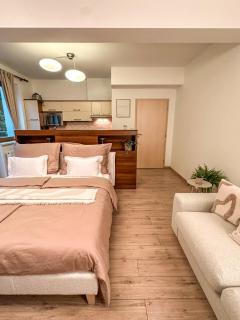 Apartmán Kolonádka Luhačovice - 1