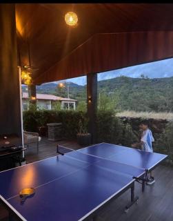 Cabañita con chimenea - 6