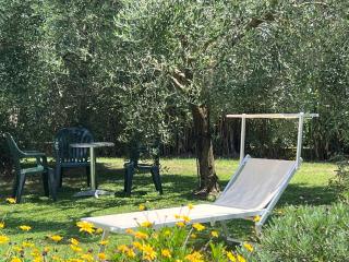 Casale Margherita - Le Focette - 4