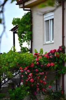 Villa Thanos - Samotracia - 6