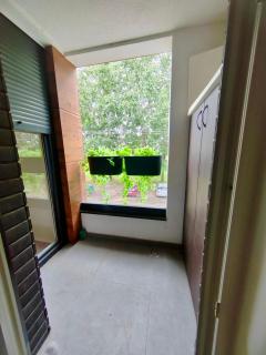 Safari Apartment - Petrovaradin - 1