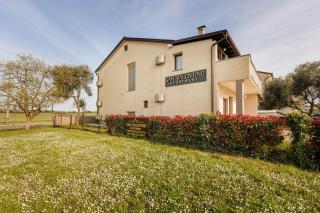 San Valentino Apartments - Umag - 8
