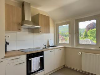 Grafen Apartment Hallermunt - Springe - 4