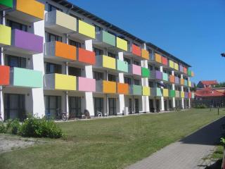 tolle in Greifswald - Greifswald - 2