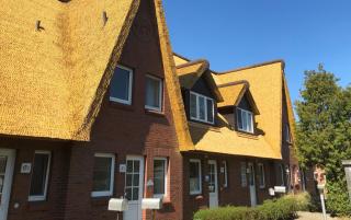 Ferienhaus Anlage Ostland17 Dörpstern Nordseeland17 e - St. Peter-Ording - 0