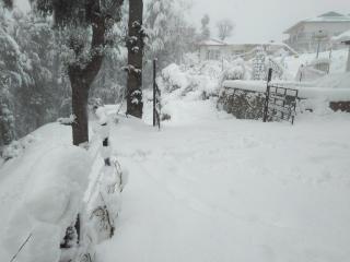 Deodar Hilltop Homestay - 4