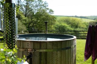 Safari Cornwall - Bodmin - 3