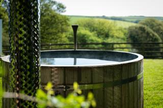 Safari Cornwall - Bodmin - 1