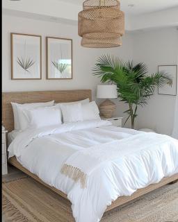 Bella suites taghit - Taghit - 0