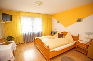 Auerhahn Bed and Breakfast - Black Forest - Waldhotel - Eisenbach - 3