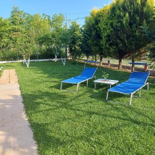 Villa Nikos - Nea Plagia - 7