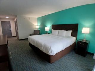 Quality Inn & Suites Houma - Houma - 5