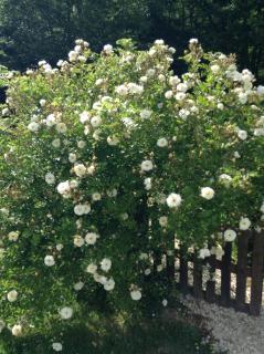 La Maison d'Ambre - 6