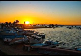Red sea apartment hotel - Hurghada - 9