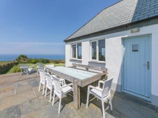 Lower Hendra Cottage - Port Isaac - 3