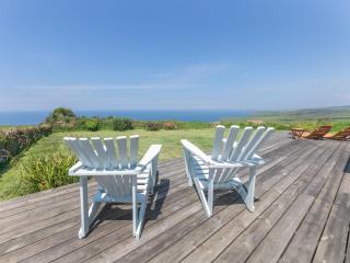Lower Hendra Cottage - Port Isaac - 1