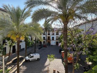 Calma Home Córdoba - Córdoba - 8