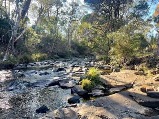 Ridge River Retreat - Merrijig - 8