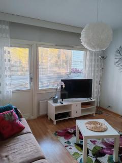 Kotoisa kaksio Kuopion Saarijärvellä - Kuopio - 9