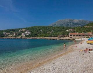 Utjeha Montenegro - Masline - 2