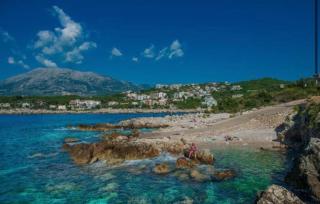 Utjeha Montenegro - Masline - 3