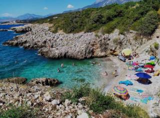 Utjeha Montenegro - Masline - 4