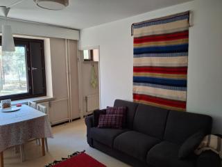 Granny's aurora apartment - Rovaniemi - 7