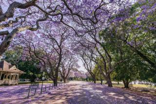 InterContinental Hotels Brisbane by IHG - Brisbane - 9
