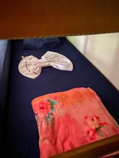 Casa Em Busca - Bonito - 6