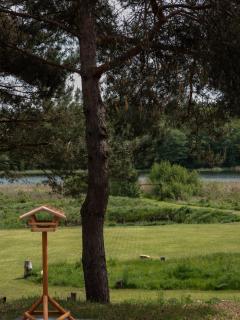 Mięta Lakeside - Kobylec - 7
