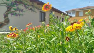 Il Giardino di Sofia B&B - Piozzo - 6