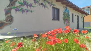 Il Giardino di Sofia B&B - Piozzo - 7