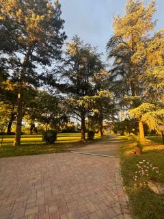 VILLA SAN SAVINO - Crespellano - 8